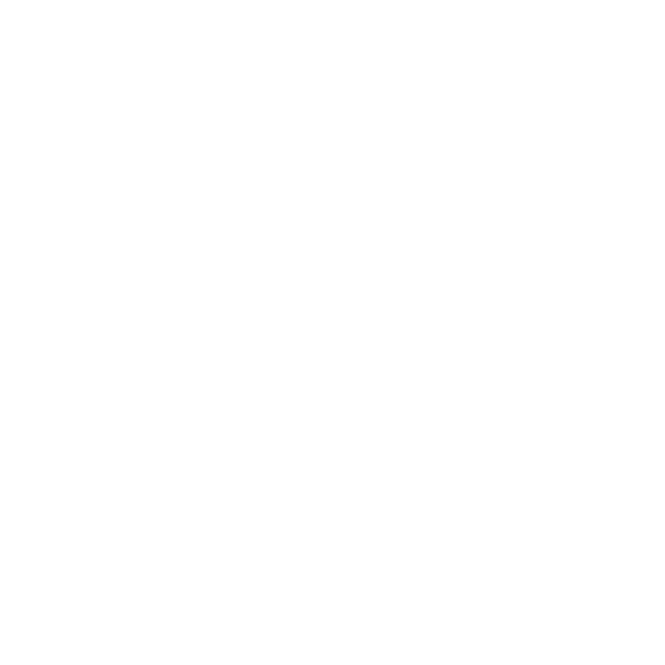Mistery Shopper